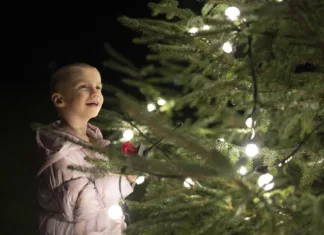 Brave Five‑Year‑Old Bonnie Lights Up Durham City Christmas Tree Brave Five‑Year‑Old Bonnie Lights Up Durham City Christmas Tree