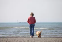 Durham Residents Urged to Share Views on Dog Licensing in New Welfare Study Durham Residents Urged to Share Views on Dog Licensing in New Welfare Study