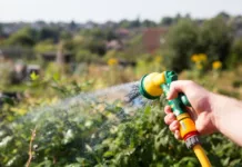 Durham County Council Proposes Fairer and More Flexible Allotment Rules Durham County Council Proposes Fairer and More Flexible Allotment Rules