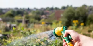 Durham County Council Proposes Fairer and More Flexible Allotment Rules Durham County Council Proposes Fairer and More Flexible Allotment Rules
