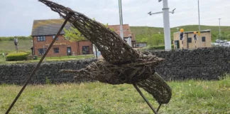 Dalton Park Celebrates Nature and Wildlife with Half Term Pollinator Park Events Dalton Park Celebrates Nature and Wildlife with Half Term Pollinator Park Events