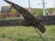 Dalton Park Celebrates Nature and Wildlife with Half Term Pollinator Park Events Dalton Park Celebrates Nature and Wildlife with Half Term Pollinator Park Events