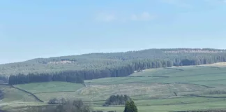 County Durham Reservoir Upgrade to Improve Long-Term Water Resilience County Durham Reservoir Upgrade to Improve Long-Term Water Resilience