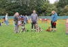 K9 Freedom Fields Fun Dog Show to Raise Funds for Greyhounds Going Home K9 Freedom Fields Summer Fun Dog Show to Raise Funds for Greyhounds Going Home