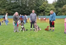 K9 Freedom Fields Fun Dog Show to Raise Funds for Greyhounds Going Home K9 Freedom Fields Summer Fun Dog Show to Raise Funds for Greyhounds Going Home