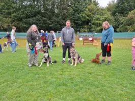 K9 Freedom Fields Fun Dog Show to Raise Funds for Greyhounds Going Home K9 Freedom Fields Summer Fun Dog Show to Raise Funds for Greyhounds Going Home