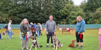 K9 Freedom Fields Fun Dog Show to Raise Funds for Greyhounds Going Home K9 Freedom Fields Summer Fun Dog Show to Raise Funds for Greyhounds Going Home
