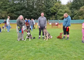 K9 Freedom Fields Fun Dog Show to Raise Funds for Greyhounds Going Home K9 Freedom Fields Summer Fun Dog Show to Raise Funds for Greyhounds Going Home