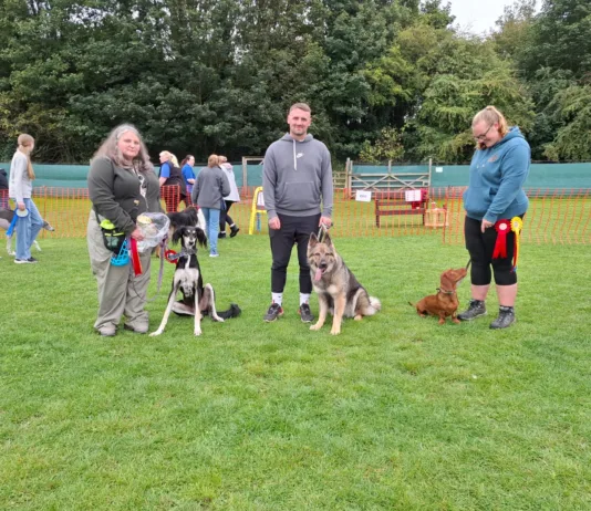 K9 Freedom Fields Fun Dog Show to Raise Funds for Greyhounds Going Home K9 Freedom Fields Summer Fun Dog Show to Raise Funds for Greyhounds Going Home