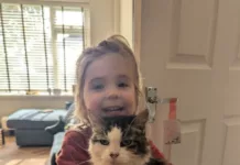RSPCA Toolkit Helps Families Support Children Through Pet Loss RSPCA Toolkit Helps Families Support Children Through Pet Loss